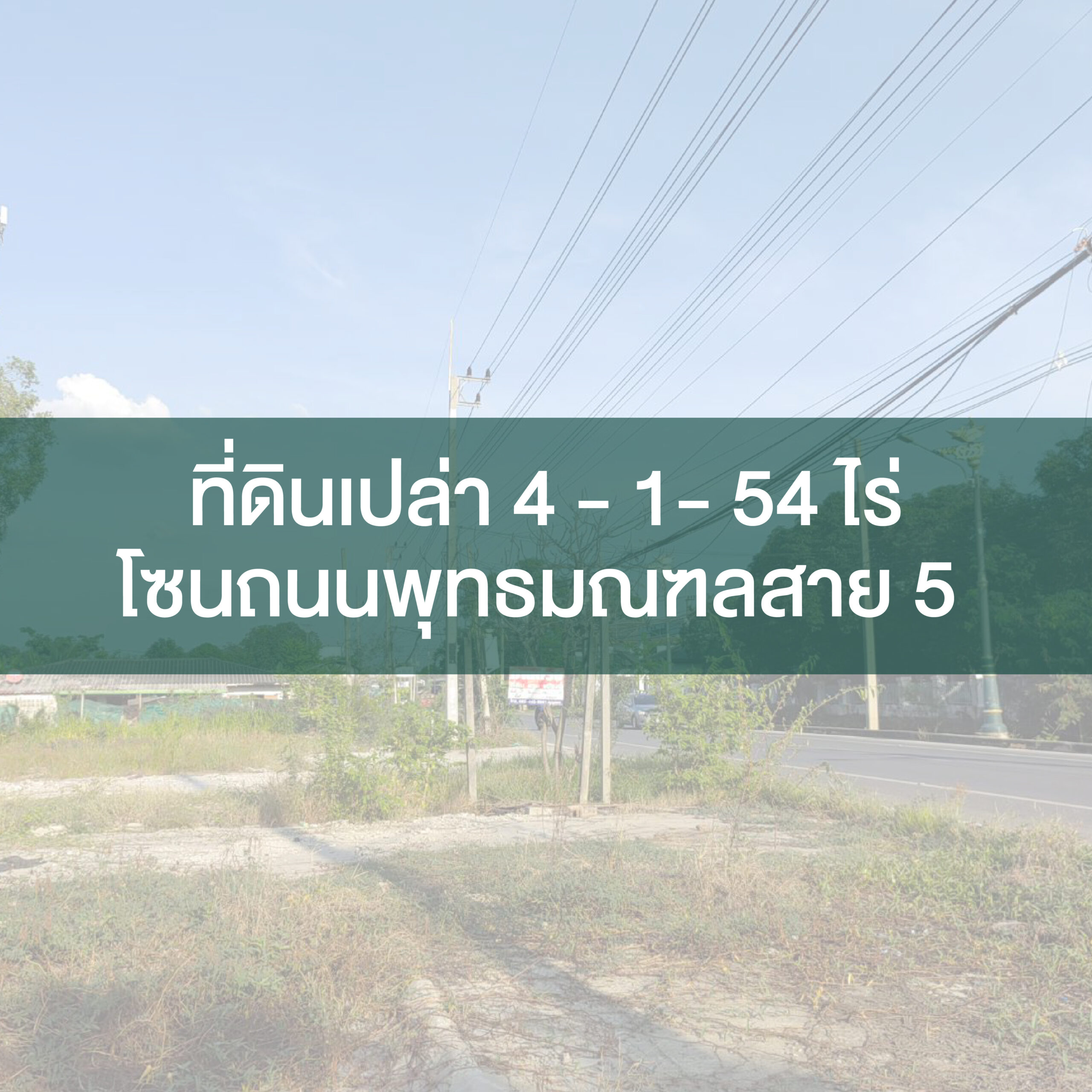 ที่ดินเปล่า 4-1-54 ไร่