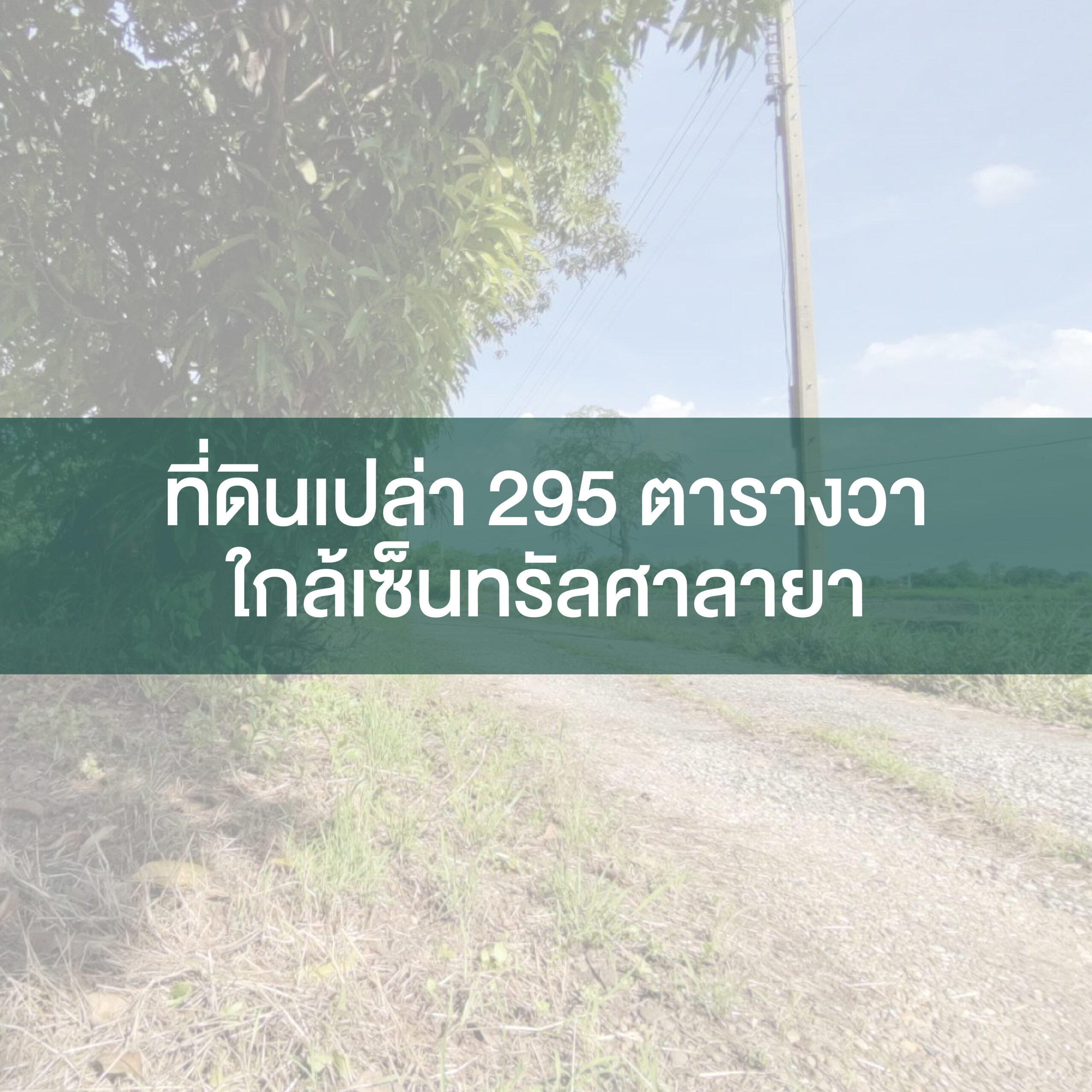 ที่ดินเปล่า 295 ตารางวา ใกล้เซ็นทรัลศาลายา